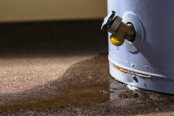 Best Ceiling water damage repair  in Freeport, TX