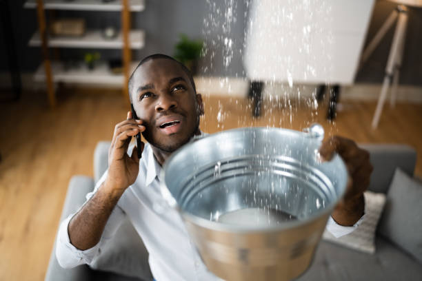 Best Water damage restoration insurance claims  in Freeport, TX