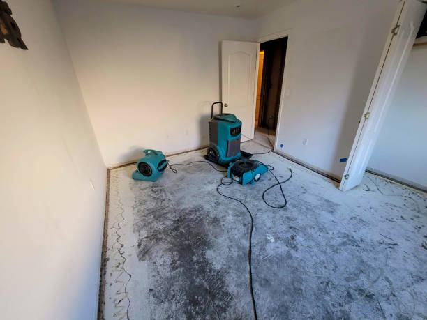 Best 24/7 water damage repair  in Freeport, TX