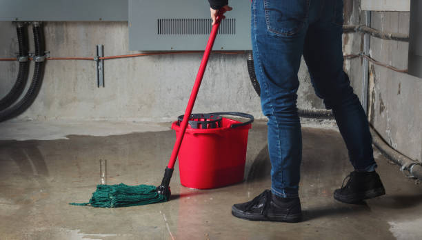 Best Sewage cleanup and water damage restoration  in Freeport, TX