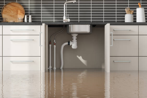 Best Residential water damage restoration  in Freeport, TX